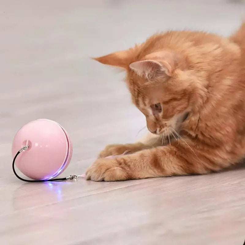 Brinquedo interativo inteligente usb para gatos, bola auto rotativa, brinquedo de penas, led, rolo mágico para gato, cachorro, criança
