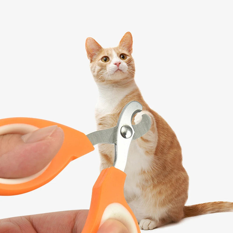Aço inoxidável cortador de unhas para animais de estimação ferramentas gato beleza tesoura de unhas multi colorido durável afiado produtos para animais de estimação acessórios para gatos